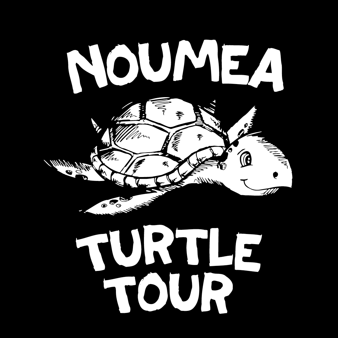 Noumea Turtle Tour